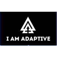 I AM ADAPTIVE INC logo - Similar company to Northlake Analytics