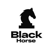 BLACK HORSE IT LIMITED logo - Similar company to 42 Foundation