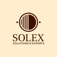 SOLEX - SOLUTIONS D'EXPERTS logo - Similar company to 26 Advisory
