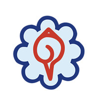The Association of Chartered Accountants of Nepal - ACAN logo - Similar company to Norbrik
