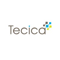 Tecica logo - Similar company to Dreamin'Job