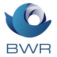 BWR_MEX logo - Similar company to Impacto Virtual