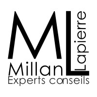 Millan, Lapierre Experts Conseils Inc logo - Similar company to Parlons Virtuel