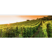 GHMartel logo - Similar company to Domaines Fabre