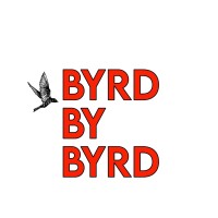 Byrd by Byrd logo - Similar company to Iag Technology