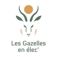 Les Gazelles en Elec' logo - Similar company to Zenith