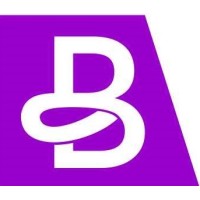 BACE Partners logo - Similar company to Upskill Business Solutions