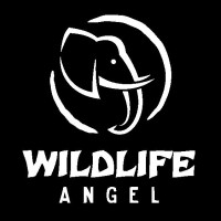 Wildlife Angel logo - Similar company to Bioparc Conservation