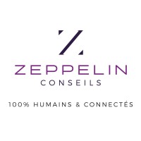 Zeppelin Conseils logo - Similar company to Experielles Expertise Comptable