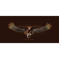 Creative Vulture logo - Similar company to Pannahouse