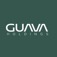 Guava Holdings logo - Similar company to Indepth Computers