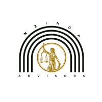 Nzinga Advisors logo - Similar company to Mitochondria Energy Systems
