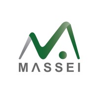 MASSEI logo - Similar company to Tech Hunter