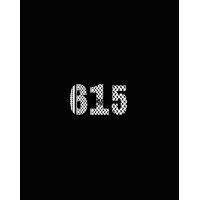 615 for Palestine logo - Similar company to Premier Ventures Llc