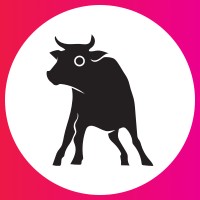 Bullwhip Design logo - Similar company to Centre For Advisory Counseling And Support Services