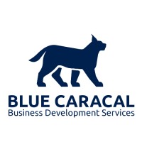 Blue Caracal logo - Similar company to Ozonefac Limited