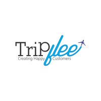 TripFlee Consolidator Private Limited logo - Similar company to Consolidator Webfares