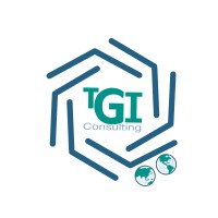 TGI Consulting logo - Similar company to Smartinny