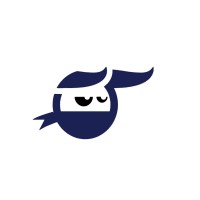 Virtual Ninja logo - Similar company to Virtual Ninjas