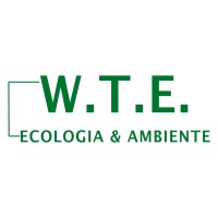 WTE Srl logo - Similar company to Sieco S.R.L.