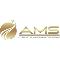 AMS International Consulting Group logo - Similar company to Bosit