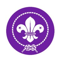 3Rd Esher (Sandown) Scouts