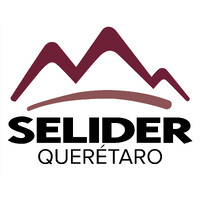 SELIDER Querétaro logo - Similar company to Selider A.B.P.