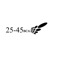 25-45 Business Consulting Africa logo - Similar company to Alcom Petroleum