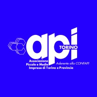 API Torino - Association of SME in Turin (Italy) logo - Similar company to A.M.I.S. Srl