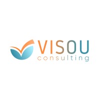 VISOU Consulting logo - Similar company to Anam Circle
