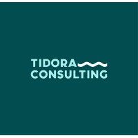 Tidora Consulting logo - Similar company to Krinova Tech Labs
