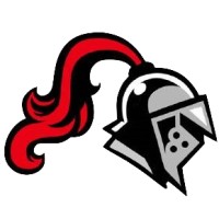 FireVisor Systems logo - Similar company to Healium | Yoga And Holistic Health In Wellington