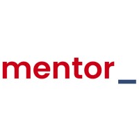 Mentor Team