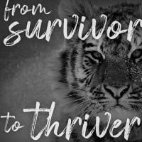 From Survivor to Thriver LLC logo - Similar company to 2 Intelligence Company Senate