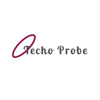 Techo Probe logo - Similar company to Silicon Valley Capital Partners, Lp