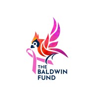 The Baldwin Fund logo - Similar company to Cusehacks