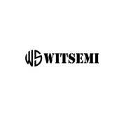 WITSEMI Technologies Private Limited logo - Similar company to Future First Technologies Pvt Ltd (Fftpl)