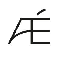 Aesthetique logo - Similar company to Perpetuitymd