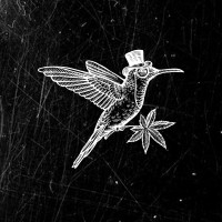 Noble Valley Harvest Company logo - Similar company to Clear710