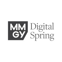Digital Spring logo - Similar company to Csdb