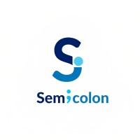 Semicolon Academic Solutions logo - Similar company to S-He Sctce