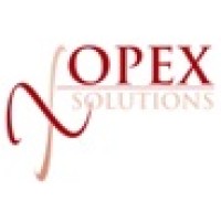 OpexSolutions.it logo - Similar company to Opex Solutions