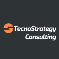 TecnoStrategy Consulting logo - Similar company to Taltics