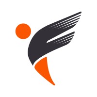 Flexion Infotech Pvt Ltd logo - Similar company to Dnc Infotech