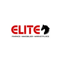 ELITE HOLDING logo - Similar company to Briques Luxes Construction