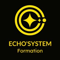Echo'System Formation logo - Similar company to Echo'System Digital