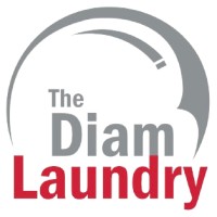TheDiamLaundry logo - Similar company to Erbessd Instruments Latam