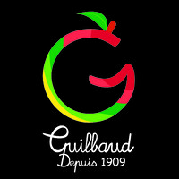 Groupe Guilbaud logo - Similar company to Aes Groupe