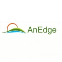 AnEdge Semiconductors Pvt Ltd logo - Similar company to Ftd Solutions Pte Ltd