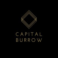 Capital Burrow logo - Similar company to Altergain
